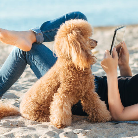 Woman laying on sandy beach with her dog and a tablet