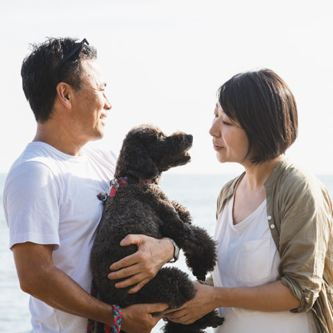 Happy, loving mature couple holding their dog at the beach